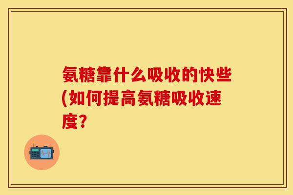 氨糖靠什么吸收的快些(如何提高氨糖吸收速度？