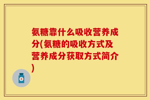氨糖靠什么吸收营养成分(氨糖的吸收方式及营养成分获取方式简介)