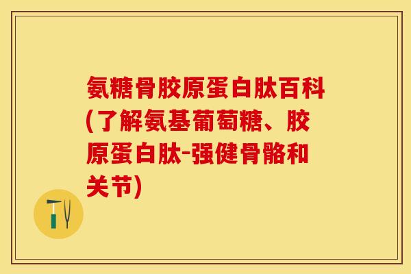 氨糖骨胶原蛋白肽百科(了解氨基葡萄糖、胶原蛋白肽－强健骨骼和关节)