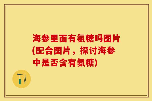 海参里面有氨糖吗图片(配合图片，探讨海参中是否含有氨糖)