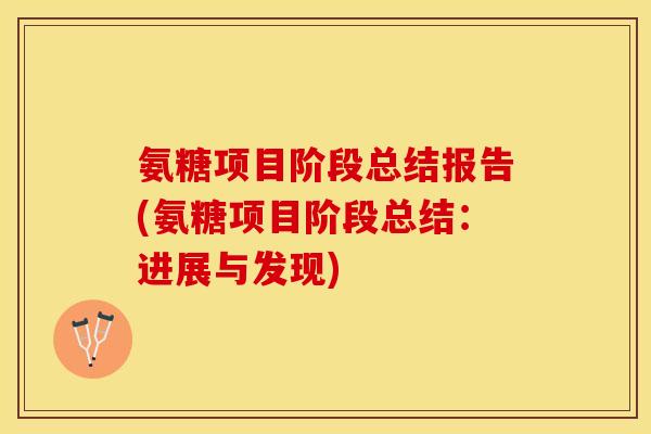 氨糖项目阶段总结报告(氨糖项目阶段总结：进展与发现)
