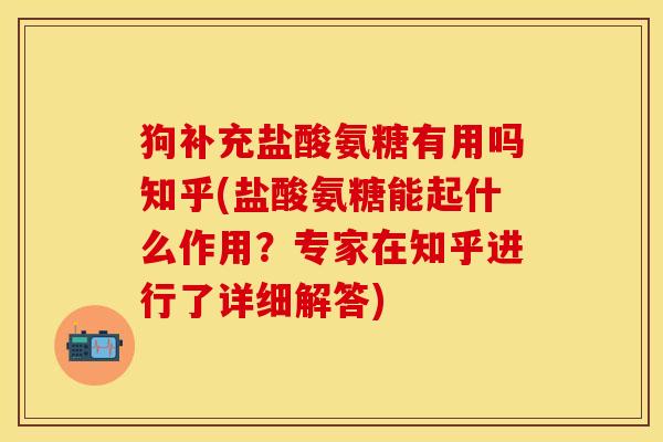 狗补充盐酸氨糖有用吗知乎(盐酸氨糖能起什么作用？专家在知乎进行了详细解答)