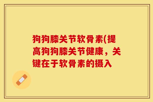 狗狗膝关节软骨素(提高狗狗膝关节健康，关键在于软骨素的摄入