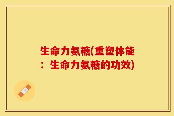 生命力氨糖(重塑体能：生命力氨糖的功效)