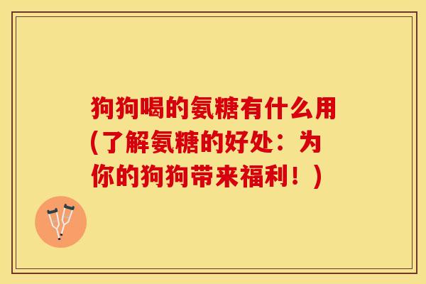 狗狗喝的氨糖有什么用(了解氨糖的好处：为你的狗狗带来福利！)