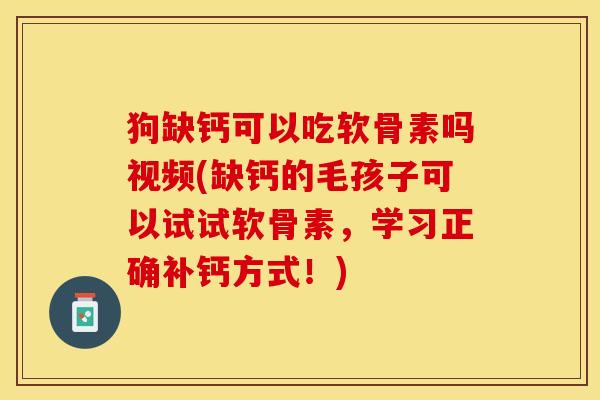 狗缺钙可以吃软骨素吗视频(缺钙的毛孩子可以试试软骨素，学习正确补钙方式！)