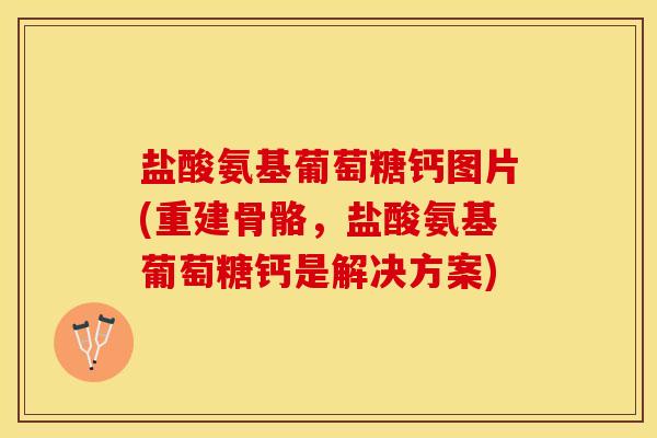 盐酸氨基葡萄糖钙图片(重建骨骼，盐酸氨基葡萄糖钙是解决方案)