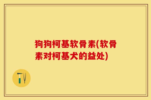 狗狗柯基软骨素(软骨素对柯基犬的益处)