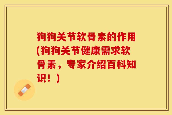 狗狗关节软骨素的作用(狗狗关节健康需求软骨素，专家介绍百科知识！)