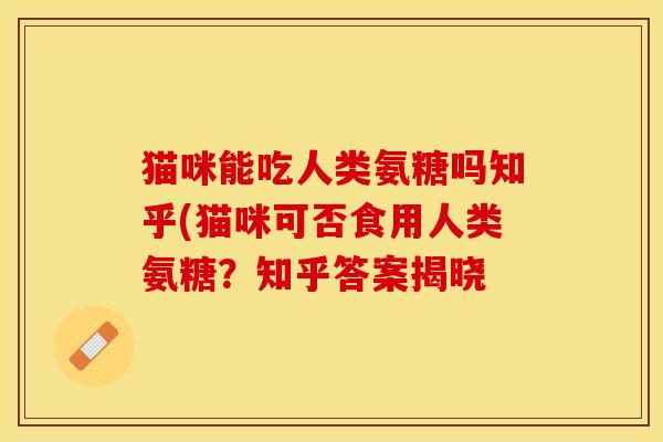猫咪能吃人类氨糖吗知乎(猫咪可否食用人类氨糖？知乎答案揭晓