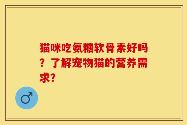 猫咪吃氨糖软骨素好吗？了解宠物猫的营养需求？