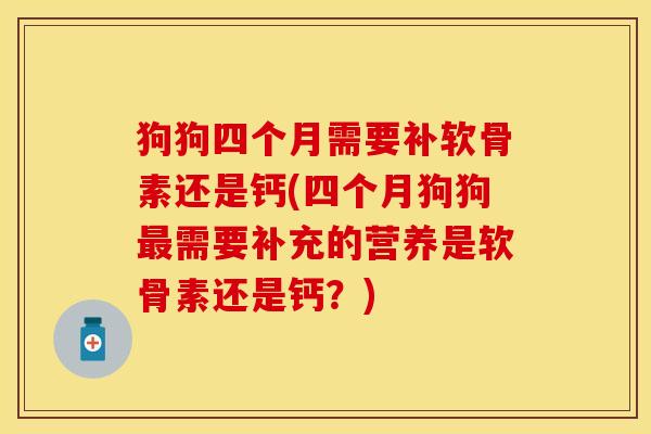 狗狗四个月需要补软骨素还是钙(四个月狗狗最需要补充的营养是软骨素还是钙？)