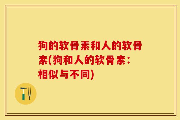 狗的软骨素和人的软骨素(狗和人的软骨素：相似与不同)-第1张图片-关节保镖