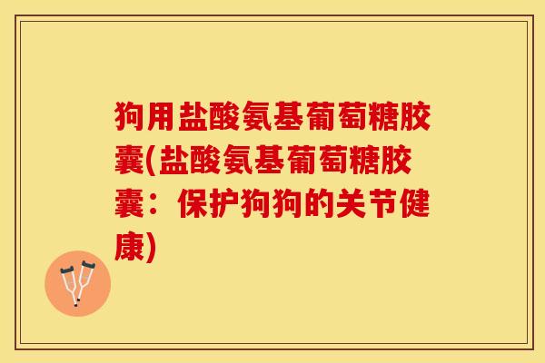 狗用盐酸氨基葡萄糖胶囊(盐酸氨基葡萄糖胶囊：保护狗狗的关节健康)