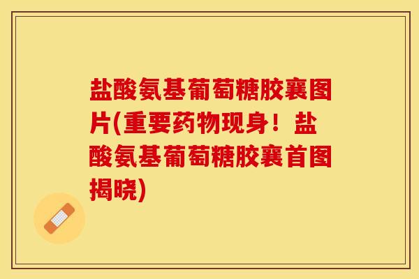 盐酸氨基葡萄糖胶襄图片(重要药物现身！盐酸氨基葡萄糖胶襄首图揭晓)