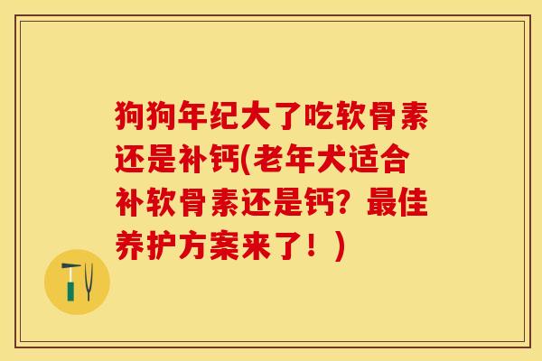 狗狗年纪大了吃软骨素还是补钙(老年犬适合补软骨素还是钙？最佳养护方案来了！)