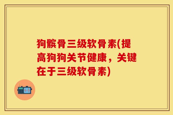 狗髌骨三级软骨素(提高狗狗关节健康，关键在于三级软骨素)