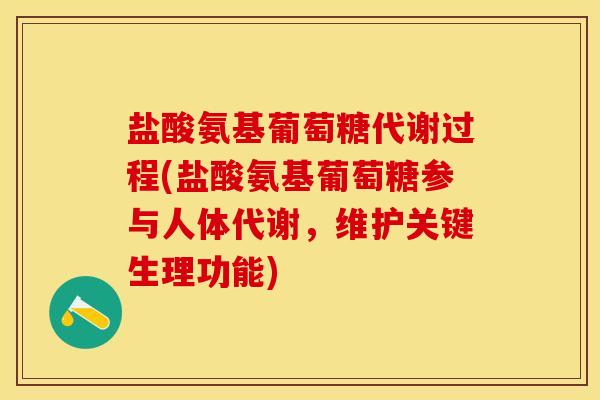 盐酸氨基葡萄糖代谢过程(盐酸氨基葡萄糖参与人体代谢，维护关键生理功能)