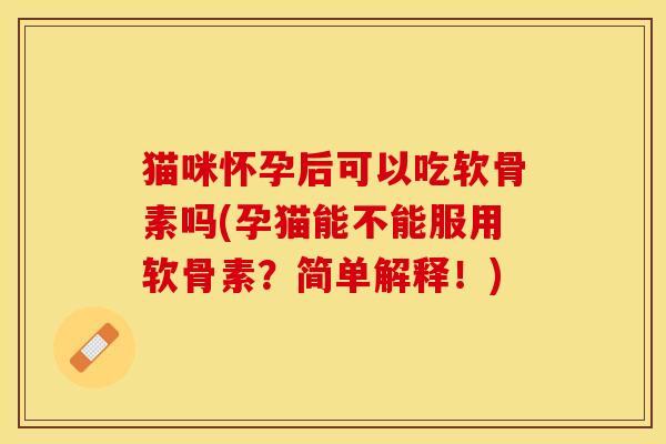 猫咪怀孕后可以吃软骨素吗(孕猫能不能服用软骨素?简单解释!)-第1张图片-关节保镖 猫咪怀孕后可以吃软骨素吗(孕猫能不能服用软骨素?简单解释!)-第1张图片-关节保镖