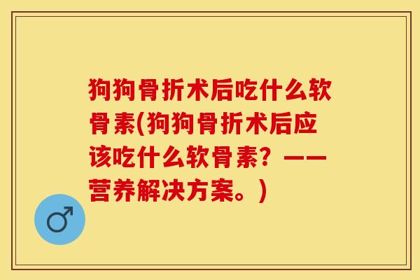狗狗骨折术后吃什么软骨素(狗狗骨折术后应该吃什么软骨素？——营养解决方案。)