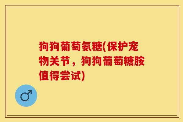 狗狗葡萄氨糖(保护宠物关节，狗狗葡萄糖胺值得尝试)