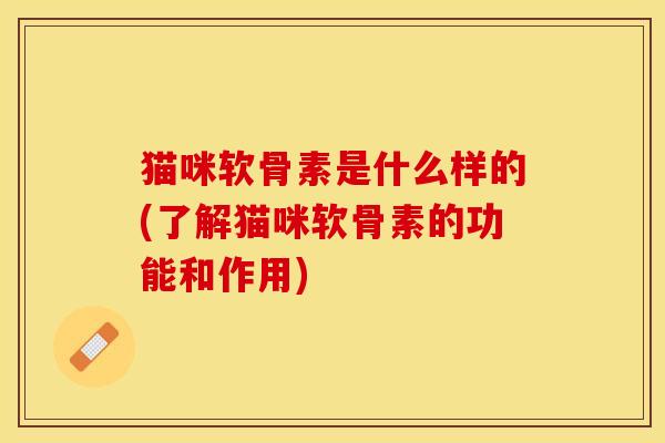 猫咪软骨素是什么样的(了解猫咪软骨素的功能和作用)