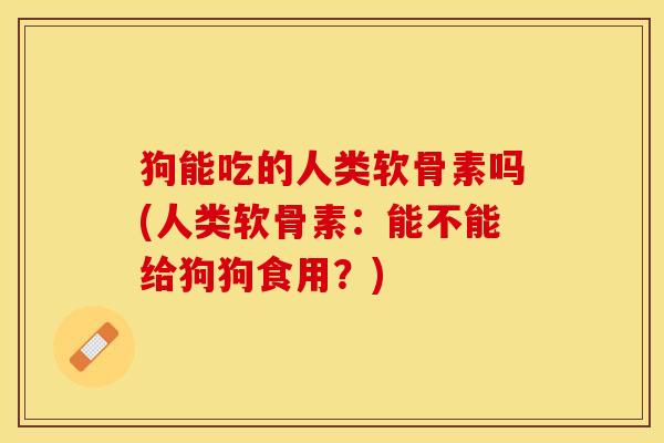 狗能吃的人类软骨素吗(人类软骨素：能不能给狗狗食用？)