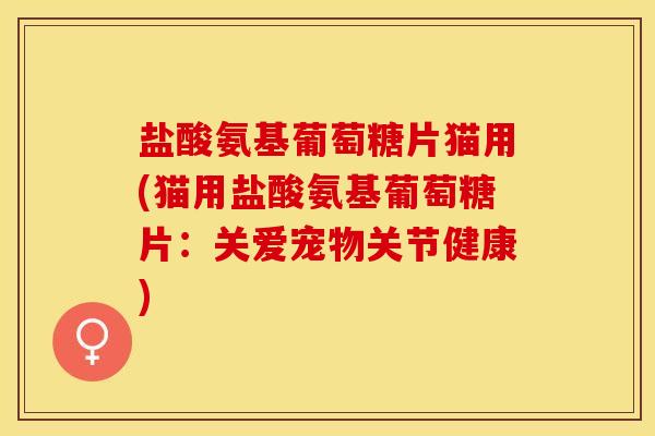 盐酸氨基葡萄糖片猫用(猫用盐酸氨基葡萄糖片：关爱宠物关节健康)