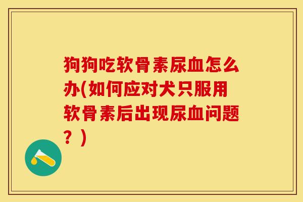 狗狗吃软骨素尿血怎么办(如何应对犬只服用软骨素后出现尿血问题？)