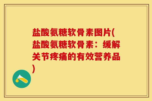盐酸氨糖软骨素图片(盐酸氨糖软骨素：缓解关节疼痛的有效营养品)