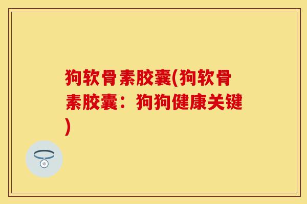 狗软骨素胶囊(狗软骨素胶囊：狗狗健康关键)