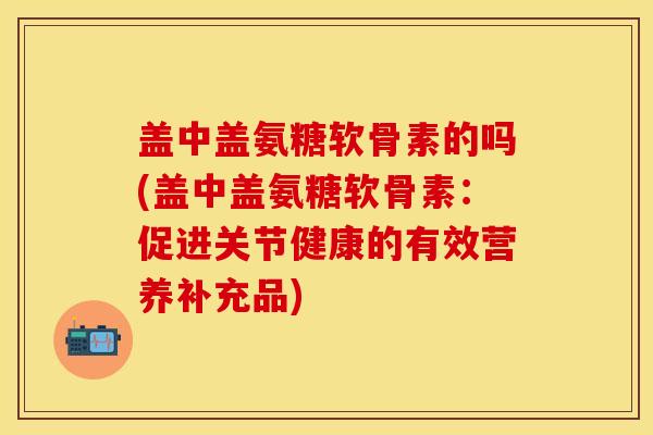 盖中盖氨糖软骨素的吗(盖中盖氨糖软骨素：促进关节健康的有效营养补充品)
