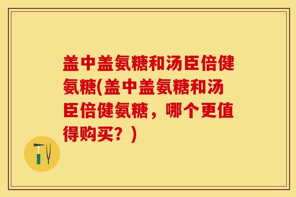 盖中盖氨糖和汤臣倍健氨糖(盖中盖氨糖和汤臣倍健氨糖，哪个更值得购买？)