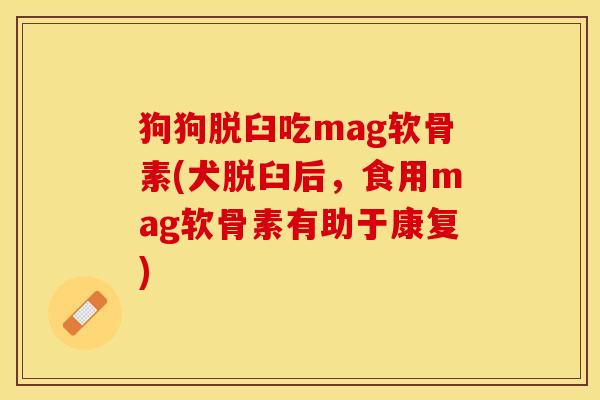 狗狗脱臼吃mag软骨素(犬脱臼后，食用mag软骨素有助于康复)