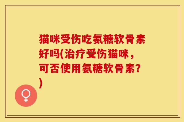 猫咪受伤吃氨糖软骨素好吗(治疗受伤猫咪，可否使用氨糖软骨素？)