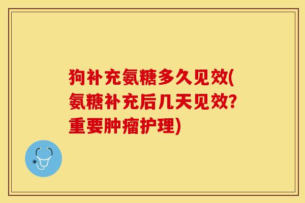 狗补充氨糖多久见效(氨糖补充后几天见效？重要肿瘤护理)