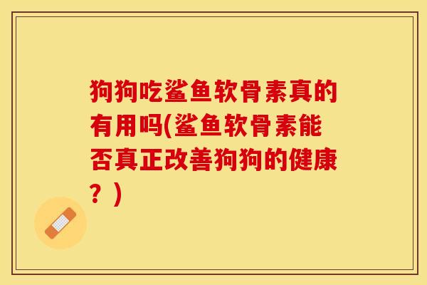 狗狗吃鲨鱼软骨素真的有用吗(鲨鱼软骨素能否真正改善狗狗的健康？)