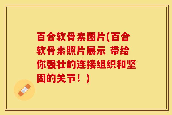 百合软骨素图片(百合软骨素照片展示 带给你强壮的连接组织和坚固的关节！)