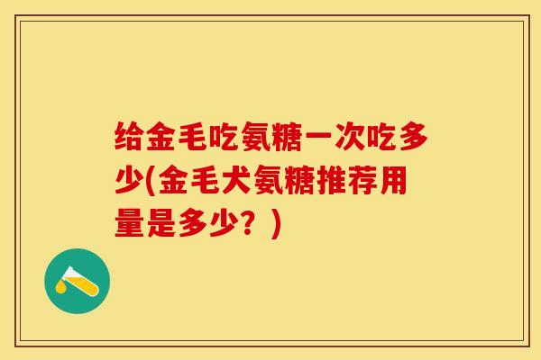 给金毛吃氨糖一次吃多少(金毛犬氨糖推荐用量是多少？)