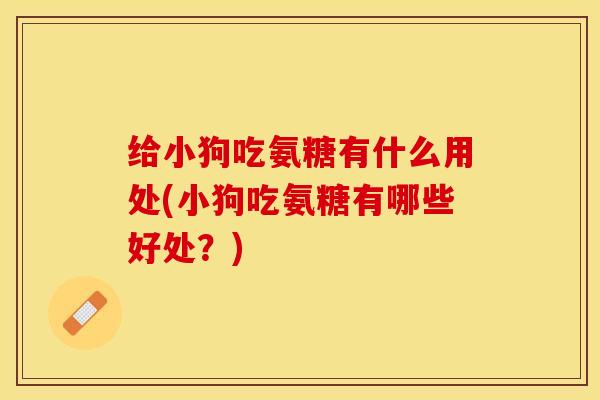 给小狗吃氨糖有什么用处(小狗吃氨糖有哪些好处？)