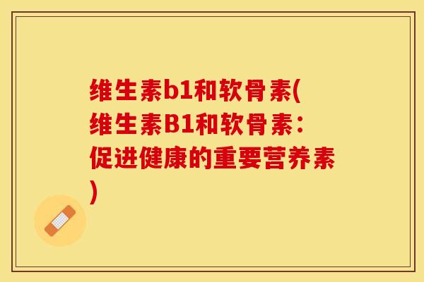 维生素b1和软骨素(维生素B1和软骨素：促进健康的重要营养素)