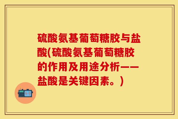 硫酸氨基葡萄糖胶与盐酸(硫酸氨基葡萄糖胶的作用及用途分析——盐酸是关键因素。)