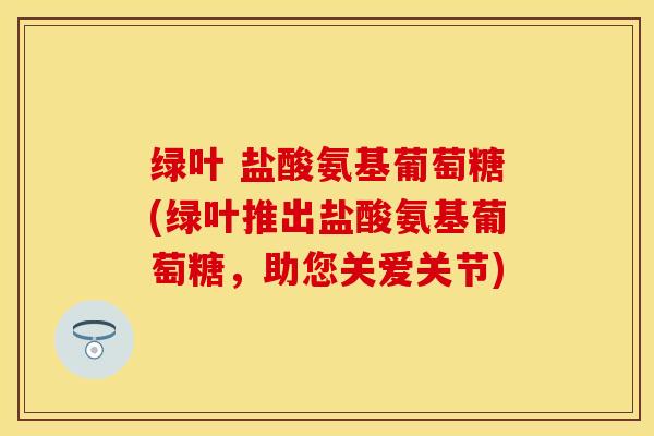 绿叶 盐酸氨基葡萄糖(绿叶推出盐酸氨基葡萄糖，助您关爱关节)