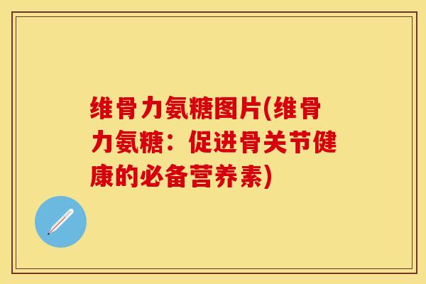 维骨力氨糖图片(维骨力氨糖：促进骨关节健康的必备营养素)