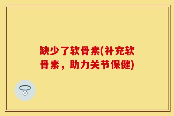 缺少了软骨素(补充软骨素，助力关节保健)