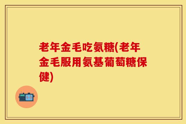 老年金毛吃氨糖(老年金毛服用氨基葡萄糖保健)