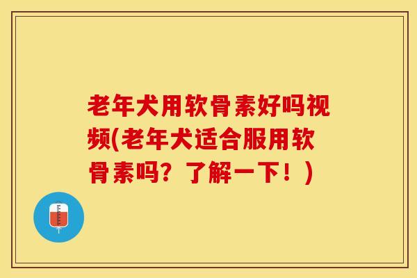 老年犬用软骨素好吗视频(老年犬适合服用软骨素吗？了解一下！)-第1张图片-关节保镖