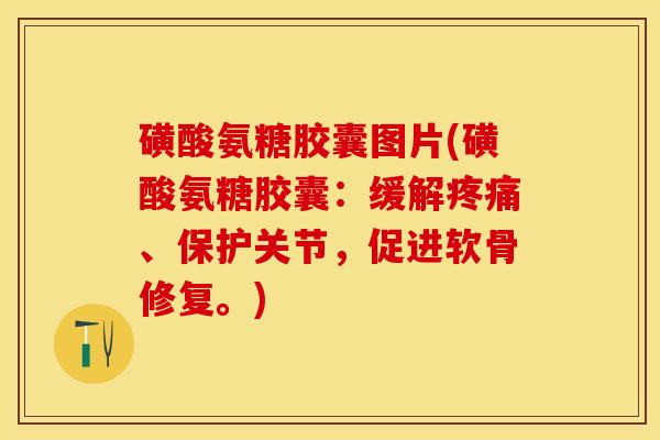磺酸氨糖胶囊图片(磺酸氨糖胶囊：缓解疼痛、保护关节，促进软骨修复。)