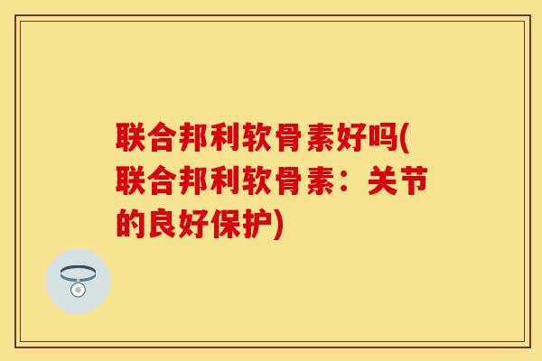 联合邦利软骨素好吗(联合邦利软骨素：关节的良好保护)