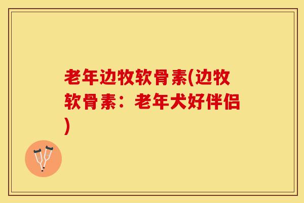 老年边牧软骨素(边牧软骨素：老年犬好伴侣)